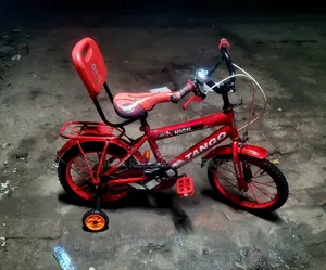 Tngo 16 Size Baby Cycle
