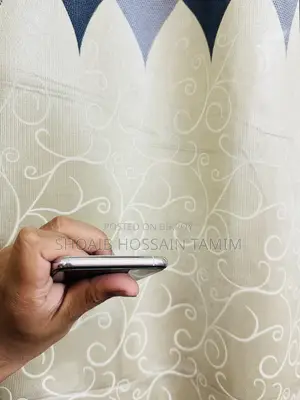 অ্যাপল আইফোন ১১ প্রো ম্যাক্স ৬৪ জিবি সিলভার