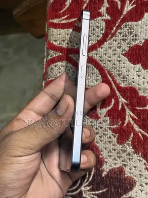 স্যামসাং গ্যালাক্সি এস২৪ ২৫৬ জিবি সিলভার