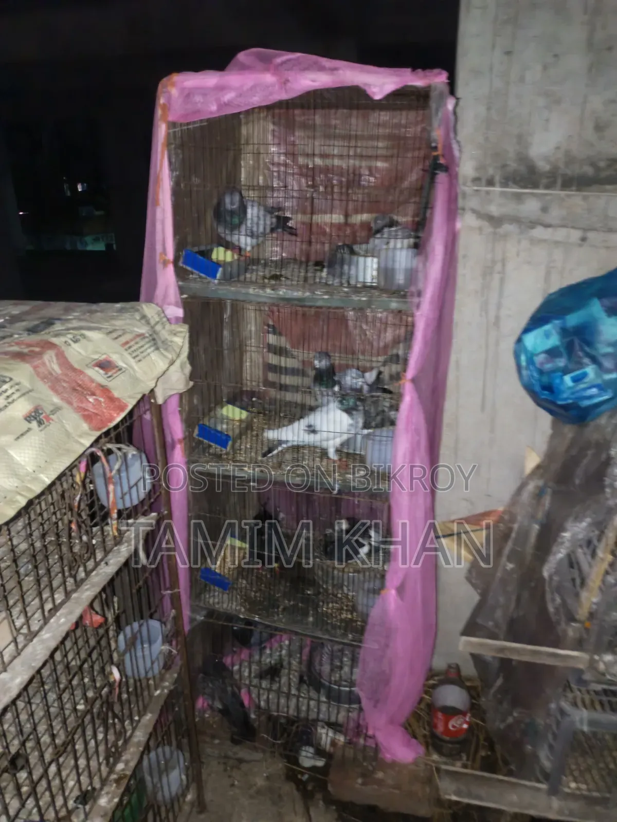 Some pigeons will be sold