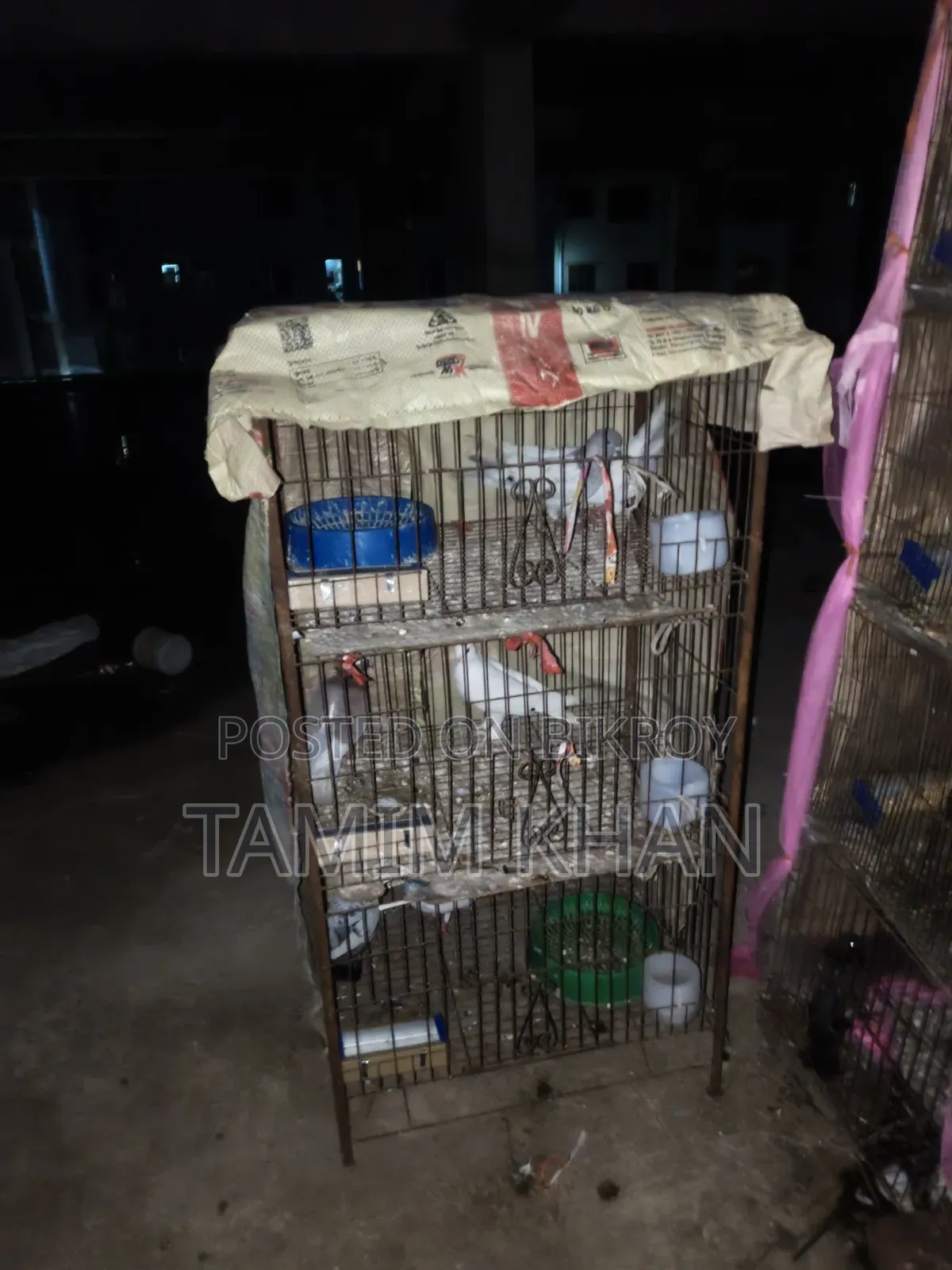 Some pigeons will be sold
