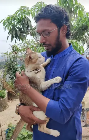 বাইক রাইডার