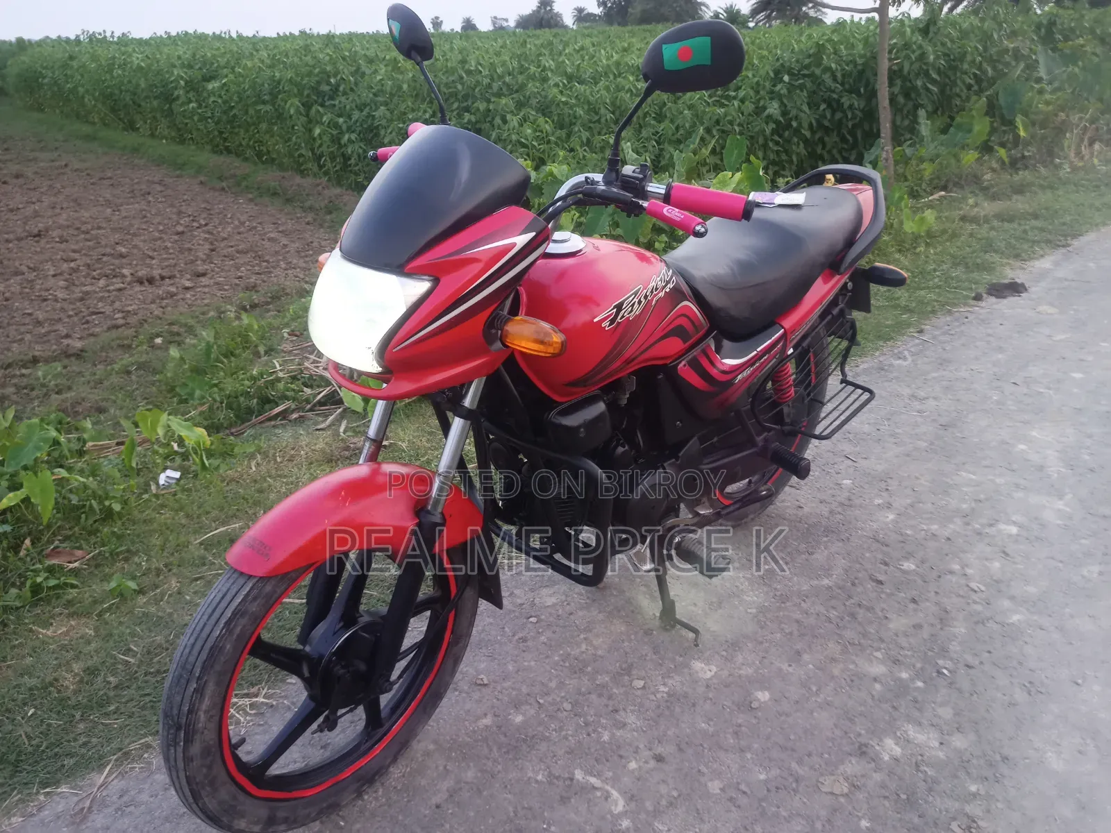 Hero Passion Pro 2012 Red