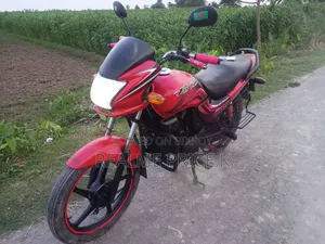 Hero Passion Pro 2012 Red