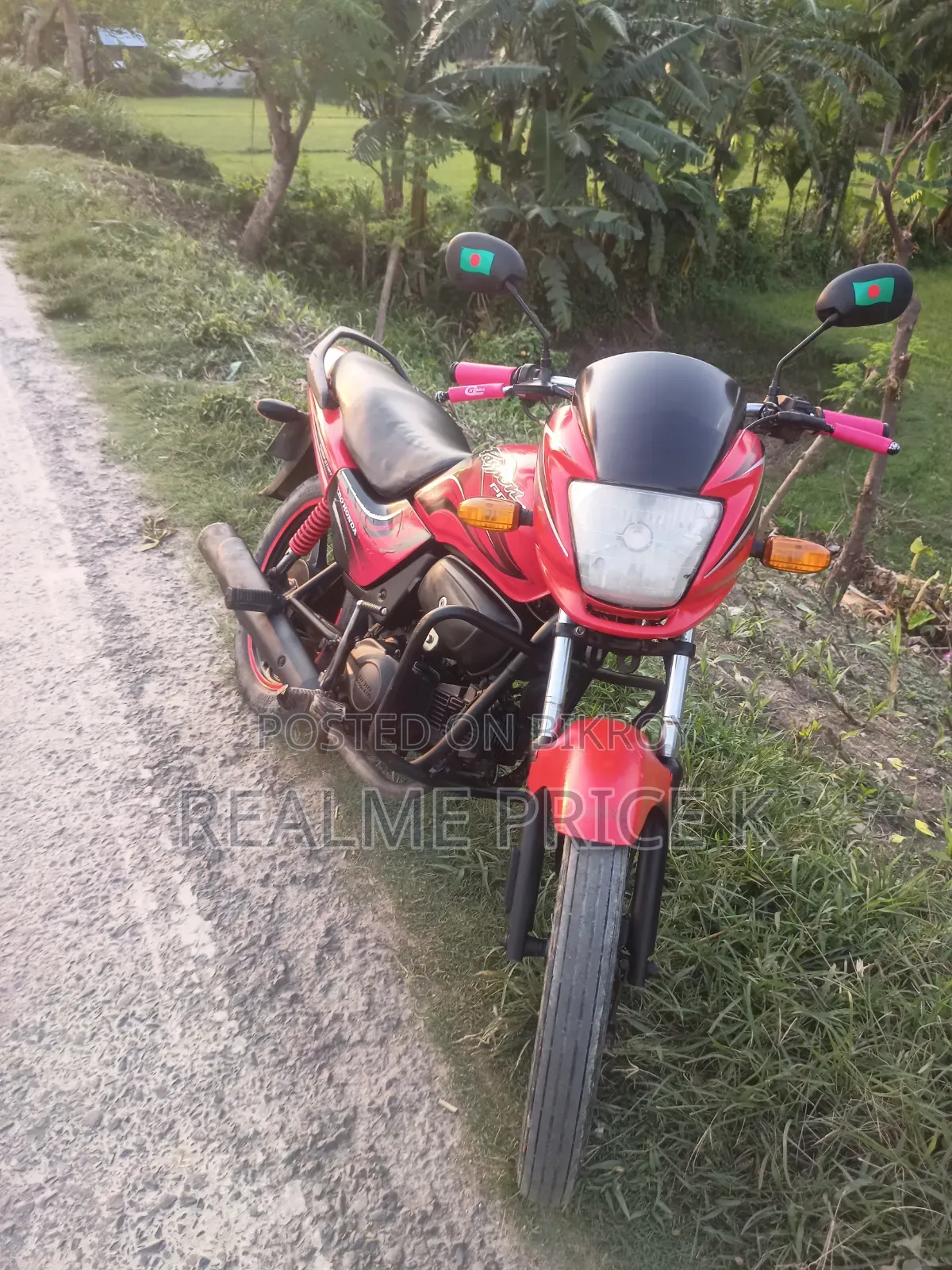 Hero Passion Pro 2012 Red