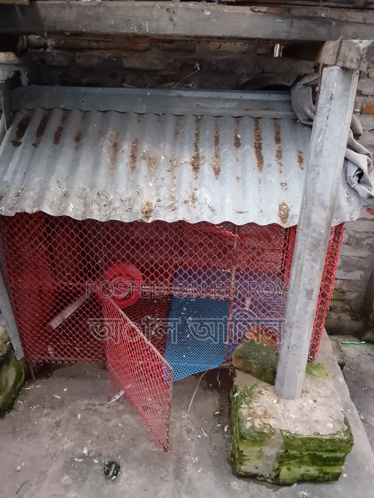 I will sell these pigeon cages