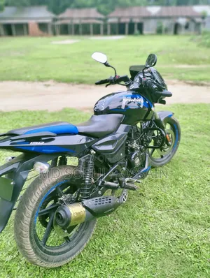 New Bajaj Pulsar 150 2024 Blue