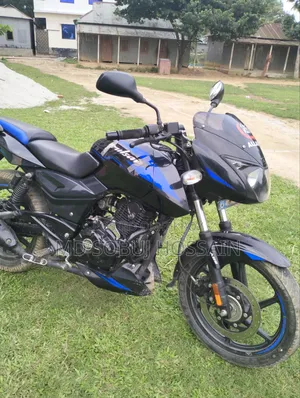 New Bajaj Pulsar 150 2024 Blue