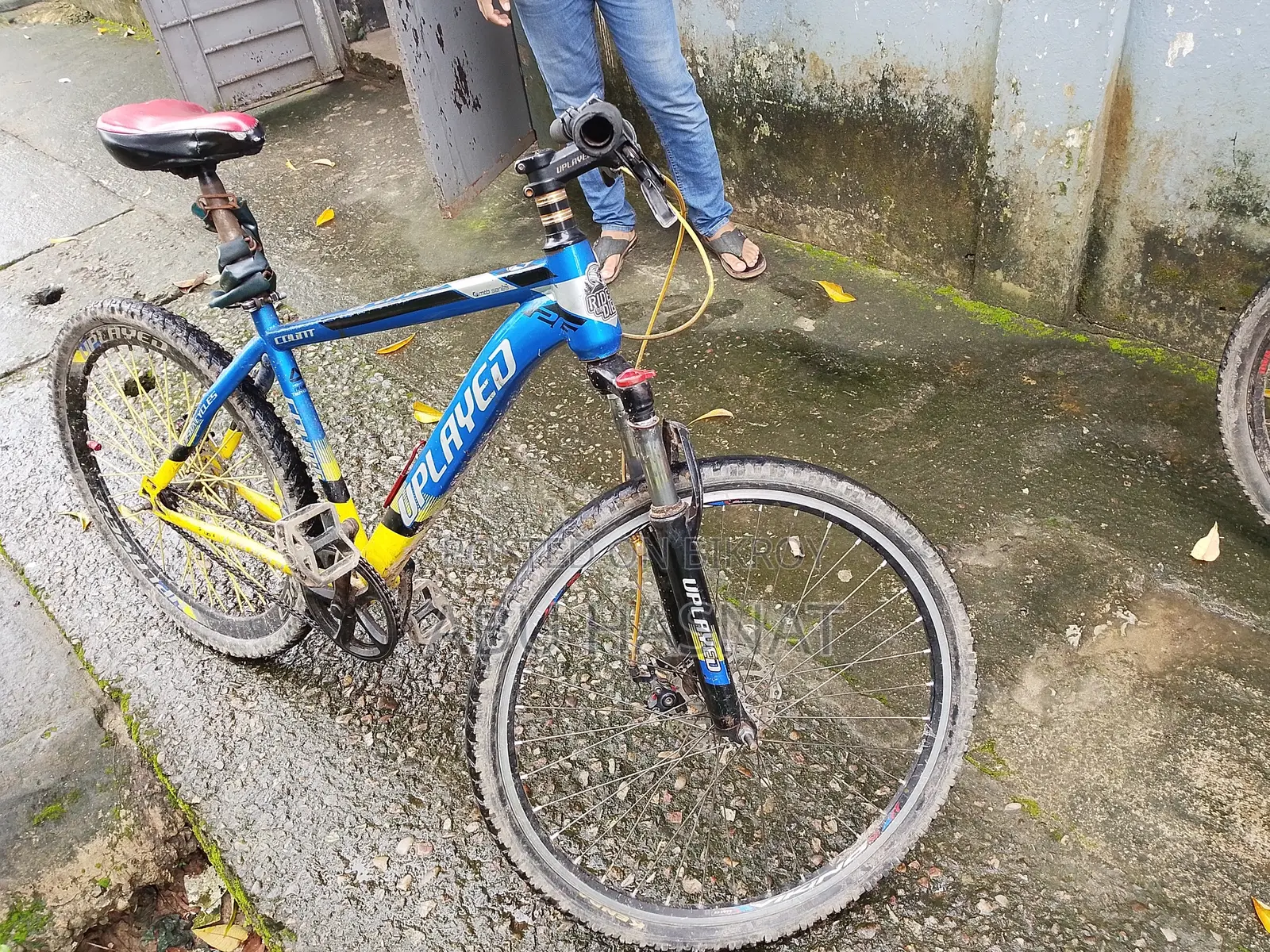 Bicycle