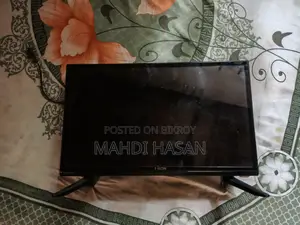 24-inch Non-Smart LED TV, no issues.