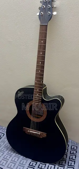 Signature Guitar