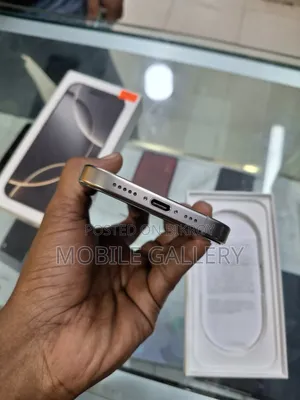Apple iPhone 16 Pro 256 GB Silver