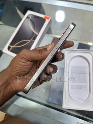 Apple iPhone 16 Pro 256 GB Silver