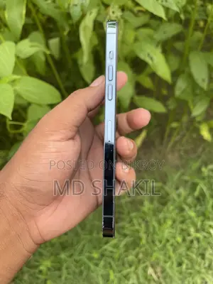 Apple iPhone 12 Pro Max 128 GB Blue