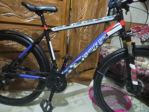 Seventy One Bicycle for Sale