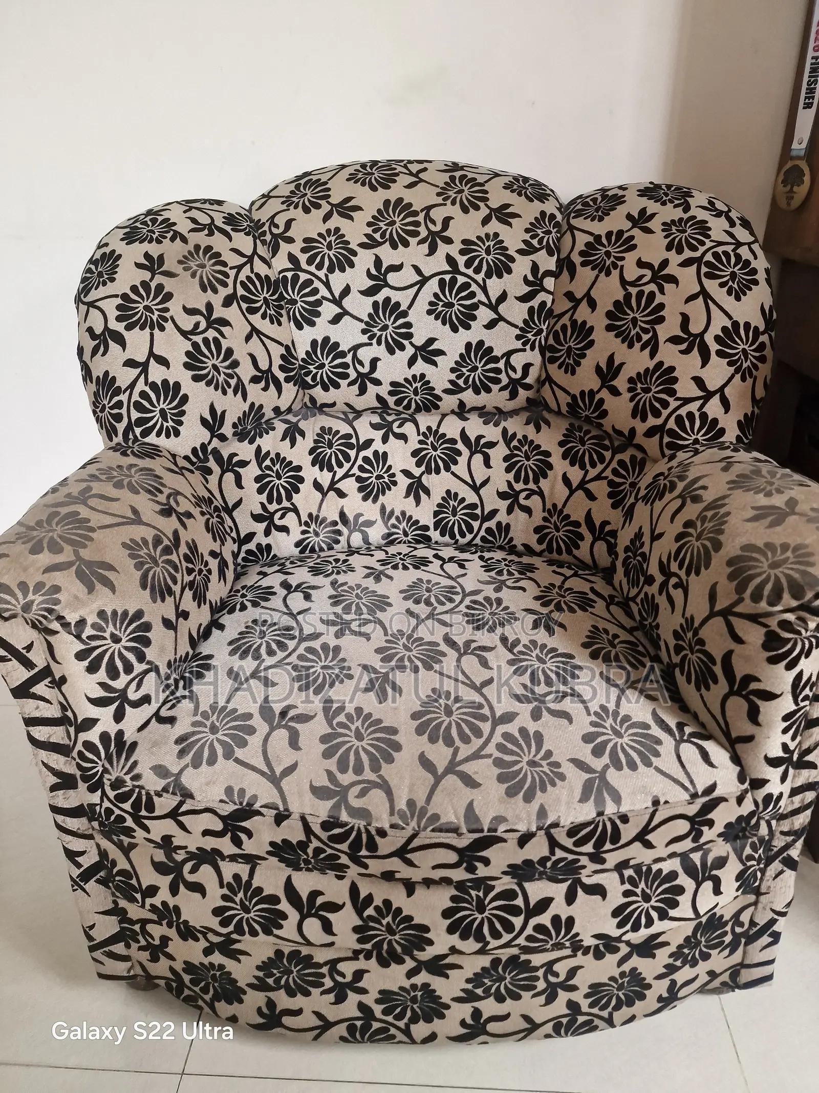 Living Room or Bedroom Sofa