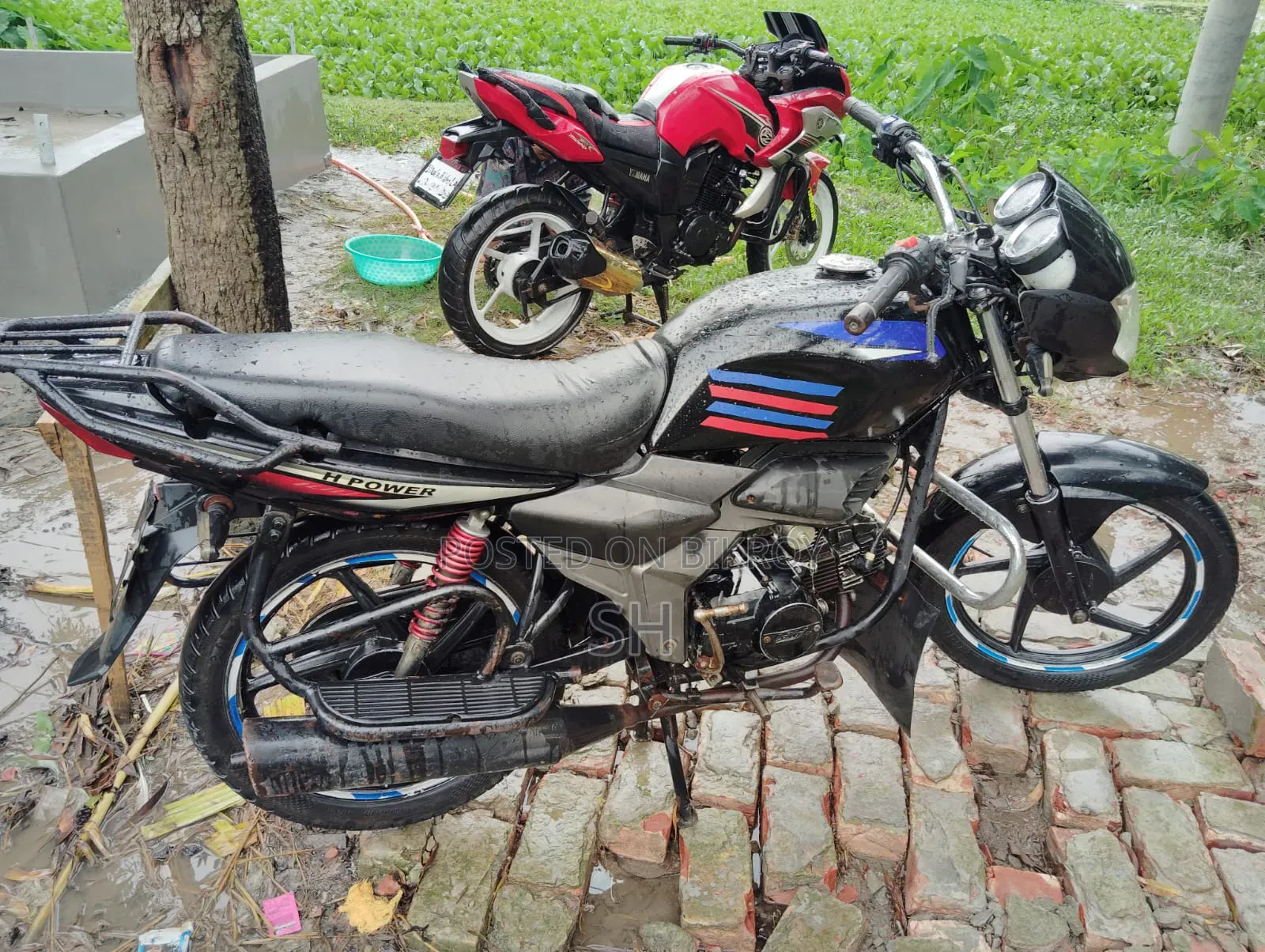 এইচ পাওয়ার জারা-১০০ ২০১৯ ব্ল্যাক