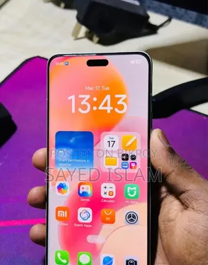 Xiaomi Civi 4 Pro 256 GB Gray