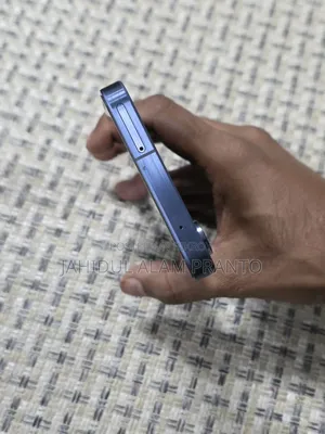 Samsung Galaxy A55 256 GB Blue