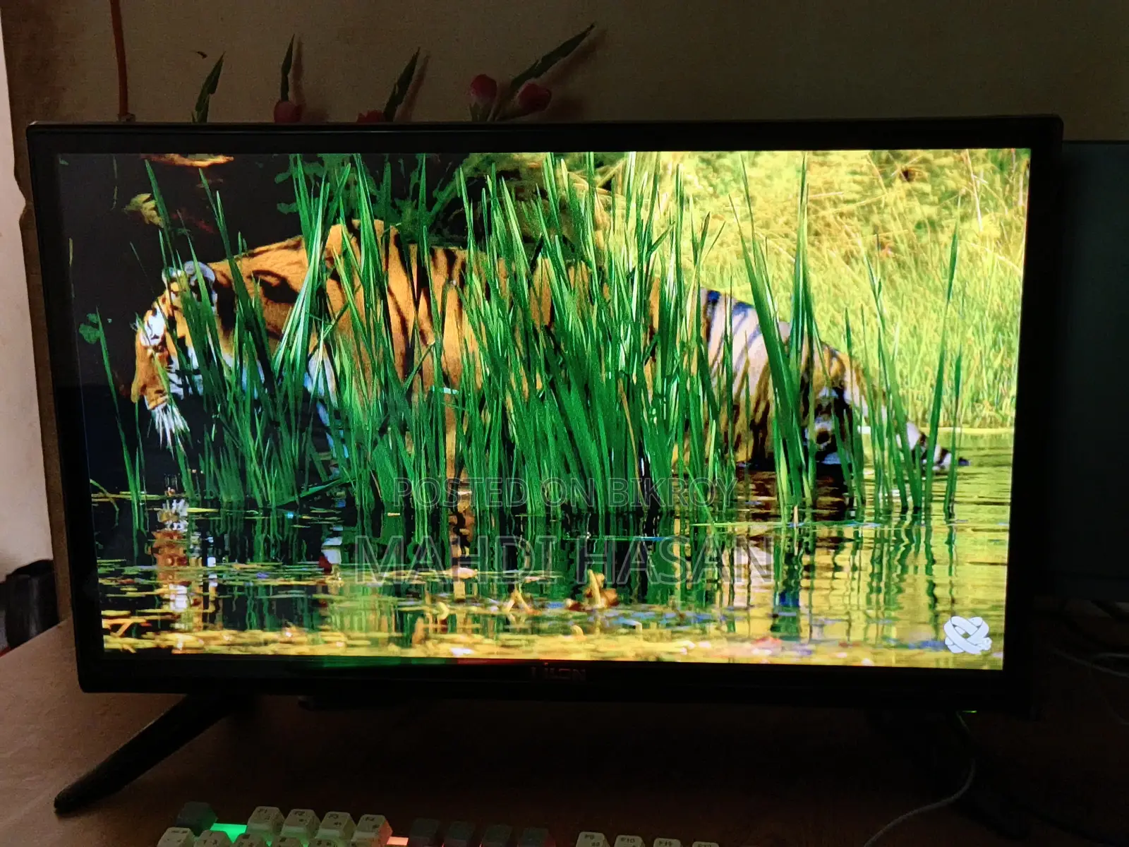 24-inch non-smart LED TV, no problems.