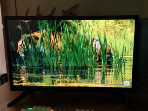 24-inch non-smart LED TV, no problems.