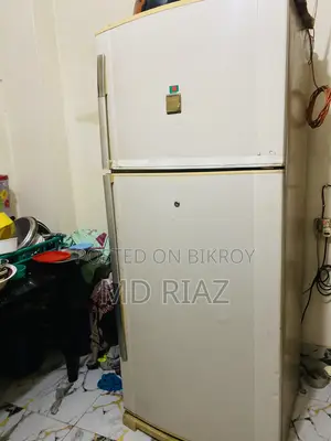 Sharp Fridge