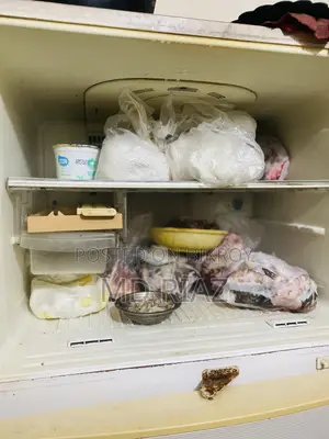 Sharp Fridge