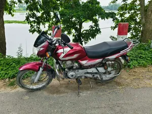 বাজাজ সিটি ১০০ ২০১৭ রেড