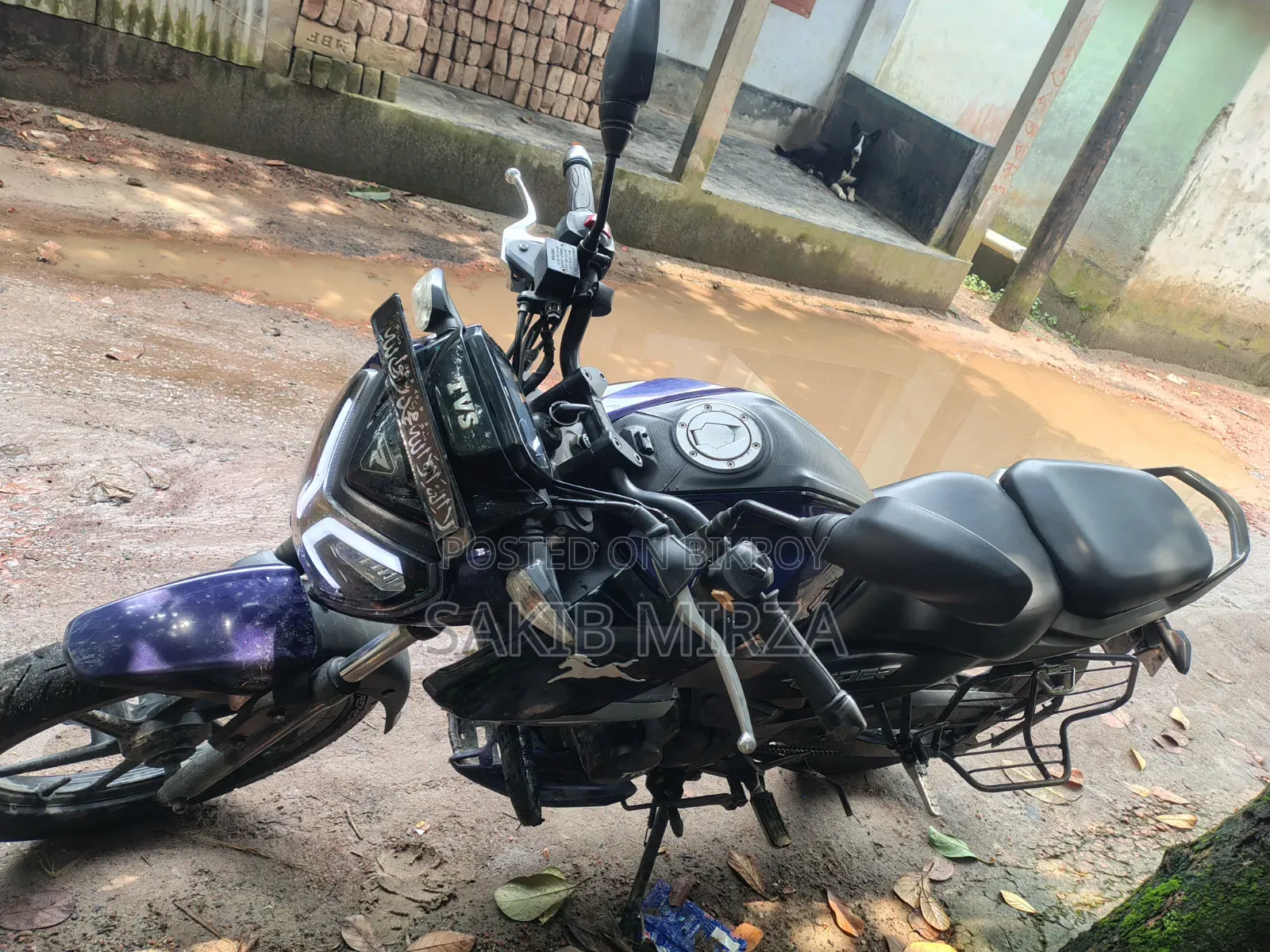 টিভিএস ২০২৩ নীল