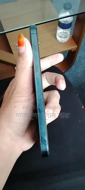 Apple iPhone 12 Pro Max 256 GB Blue