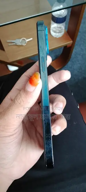 Apple iPhone 12 Pro Max 256 GB Blue