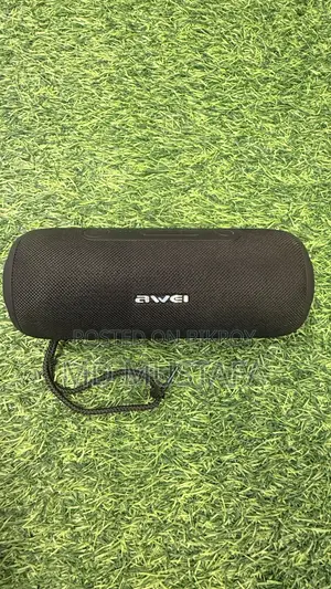 Speaker Awel