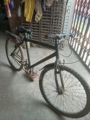 1/1 Cycle for sale