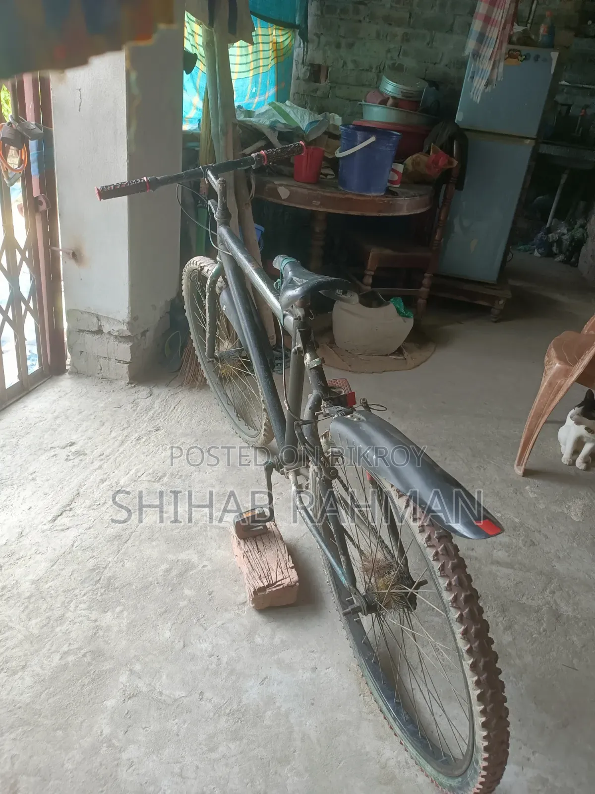 1/1 Cycle for sale