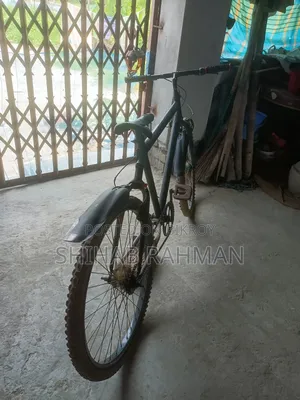 1/1 Cycle for sale
