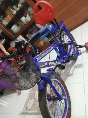 Bicycle for Kids