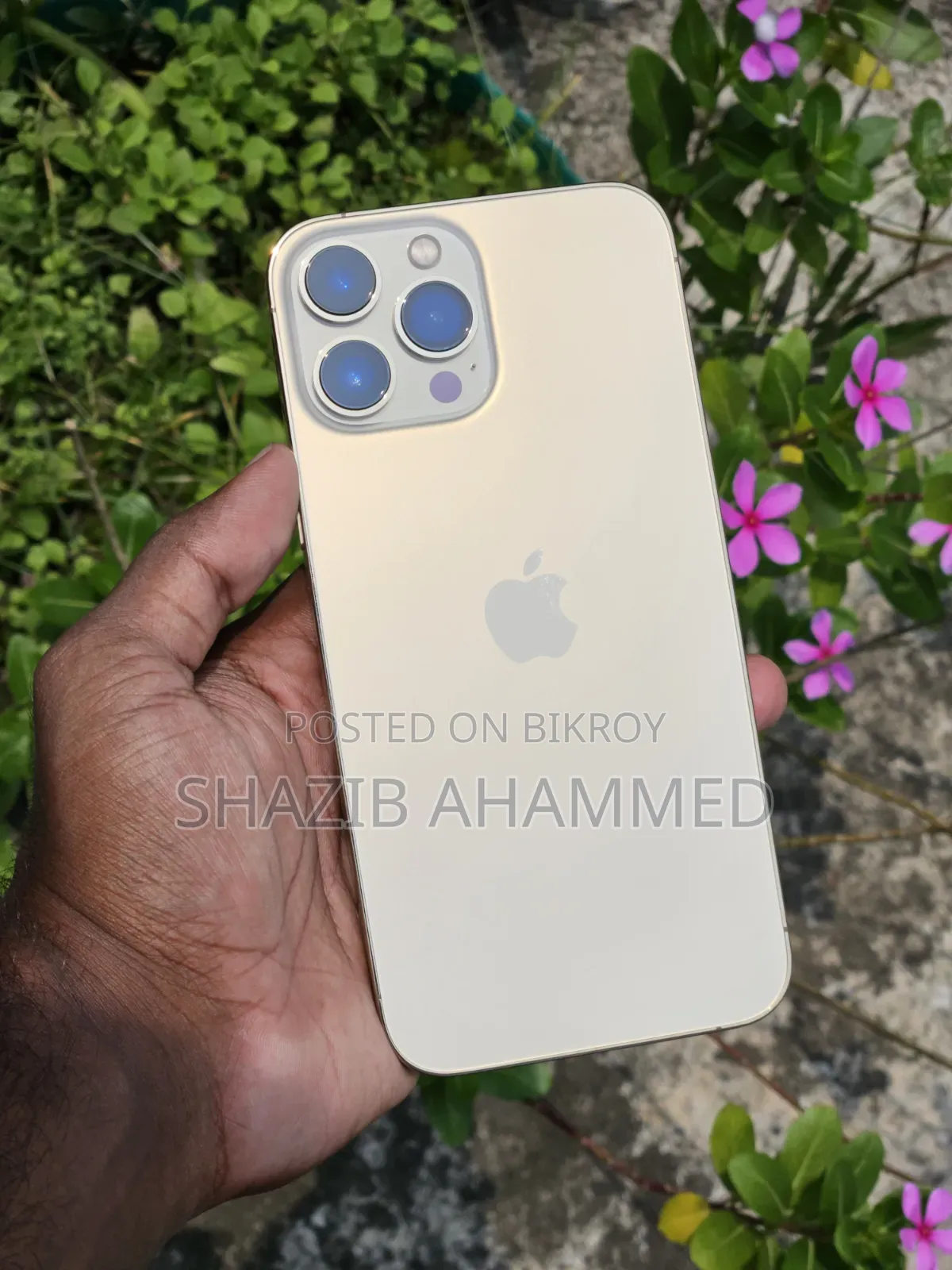 Apple iPhone 13 Pro Max 256 GB Gold