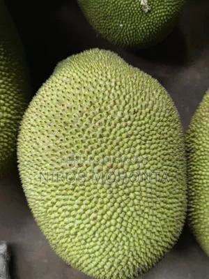 বাড়ির পাকা কাঠাল