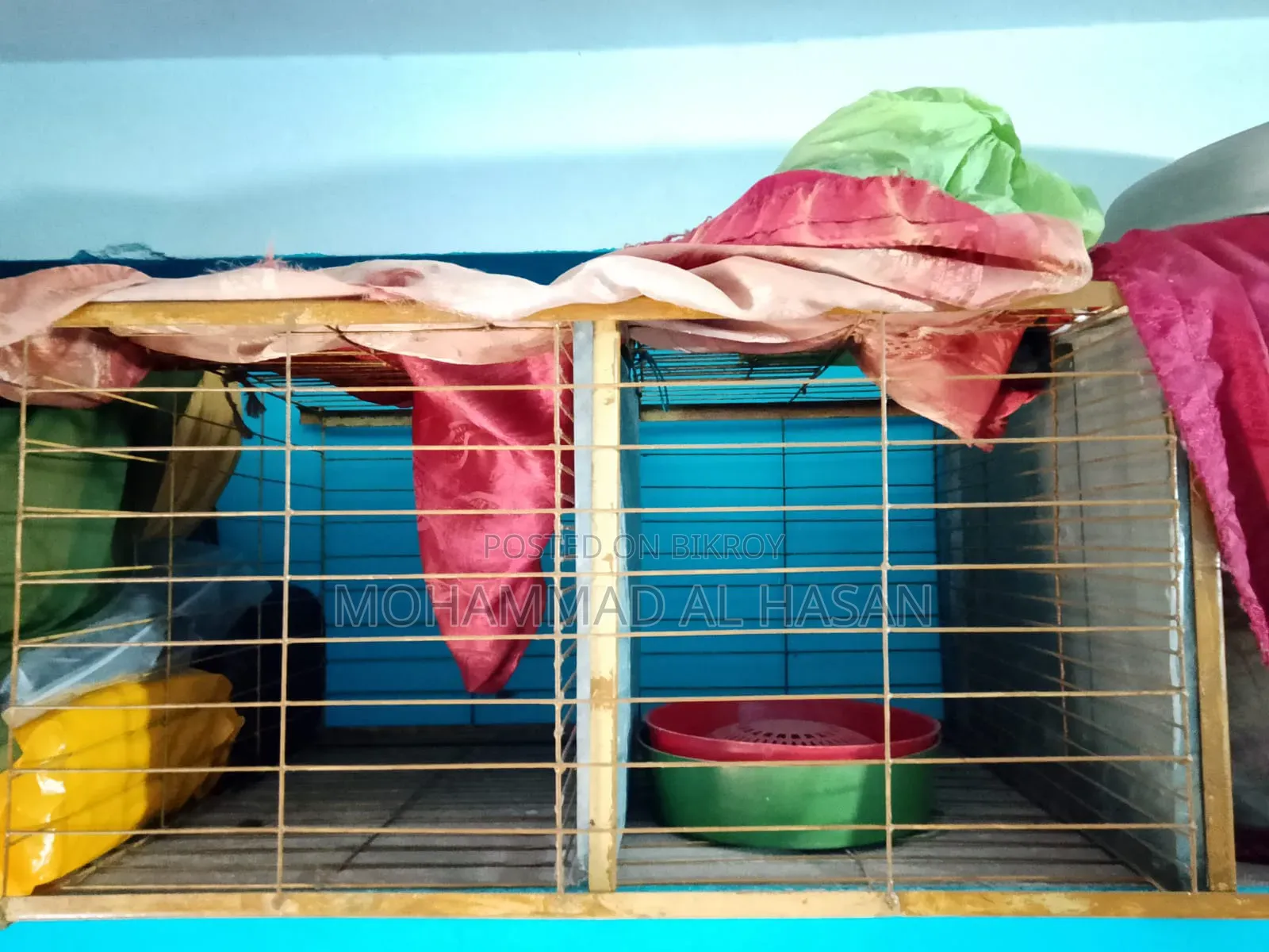 Bird Cage