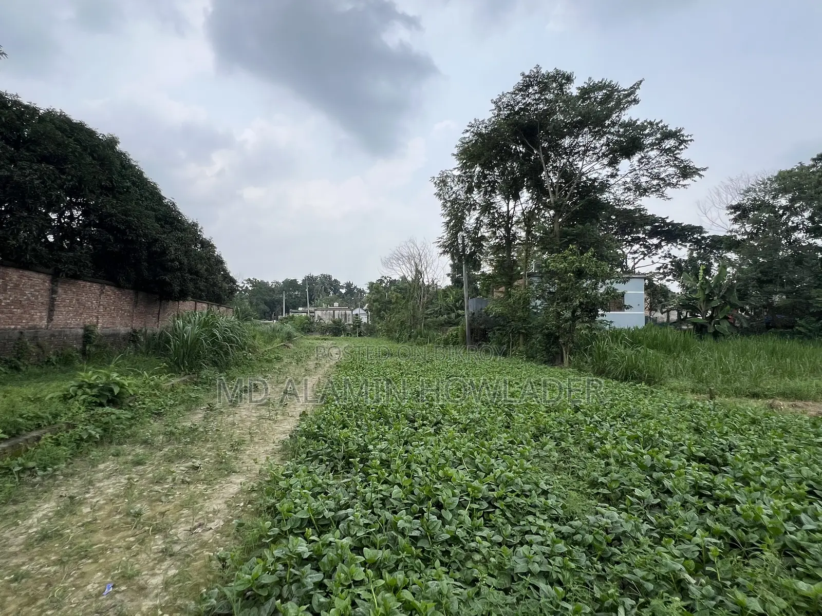 কৃষি জমি বিক্রি করা হবে
