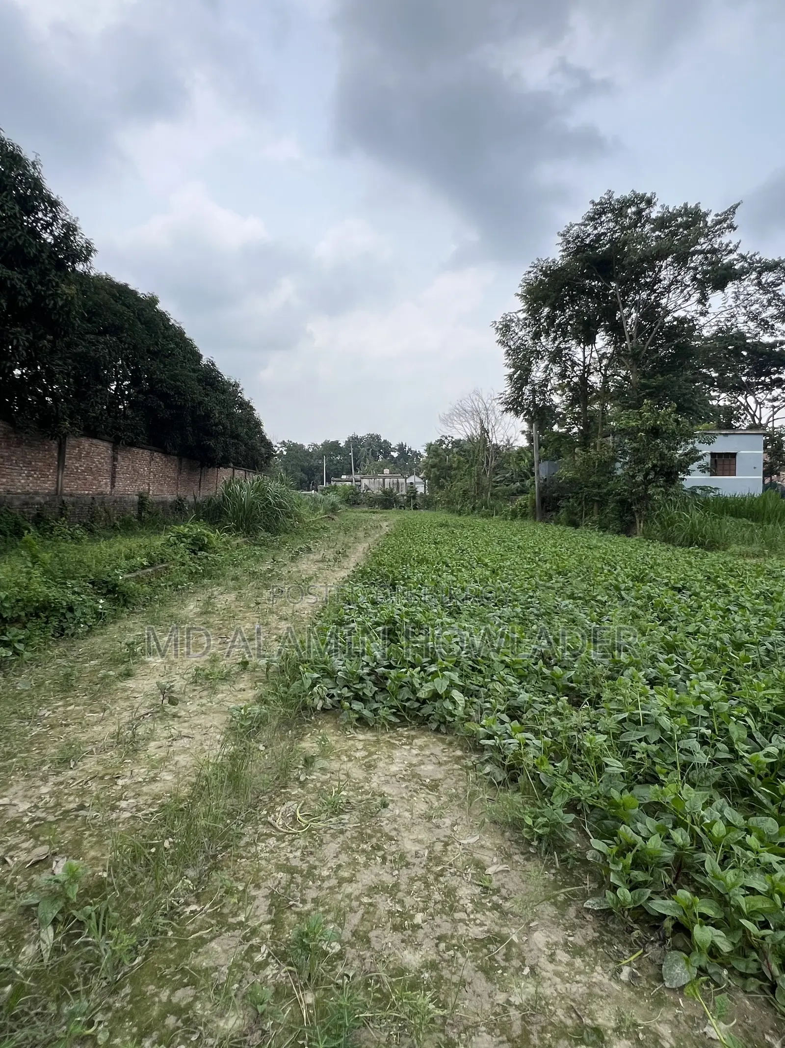 কৃষি জমি বিক্রি করা হবে