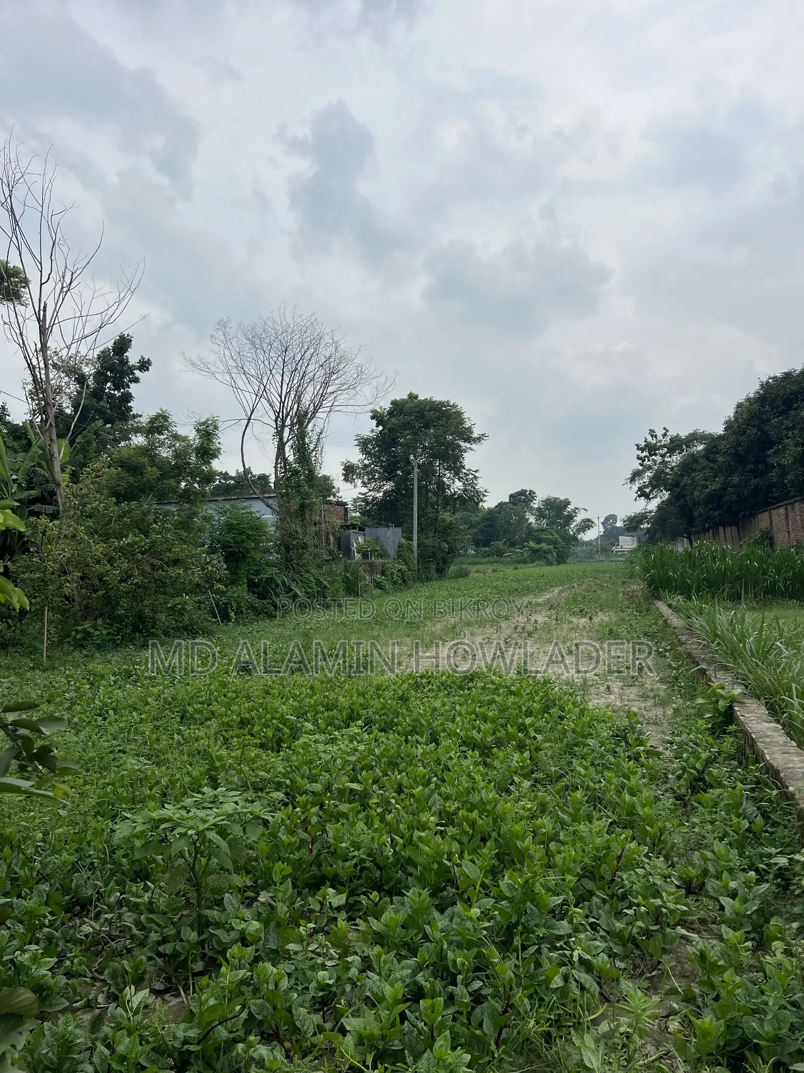 কৃষি জমি বিক্রি করা হবে