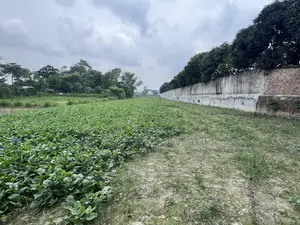 কৃষি জমি বিক্রি করা হবে