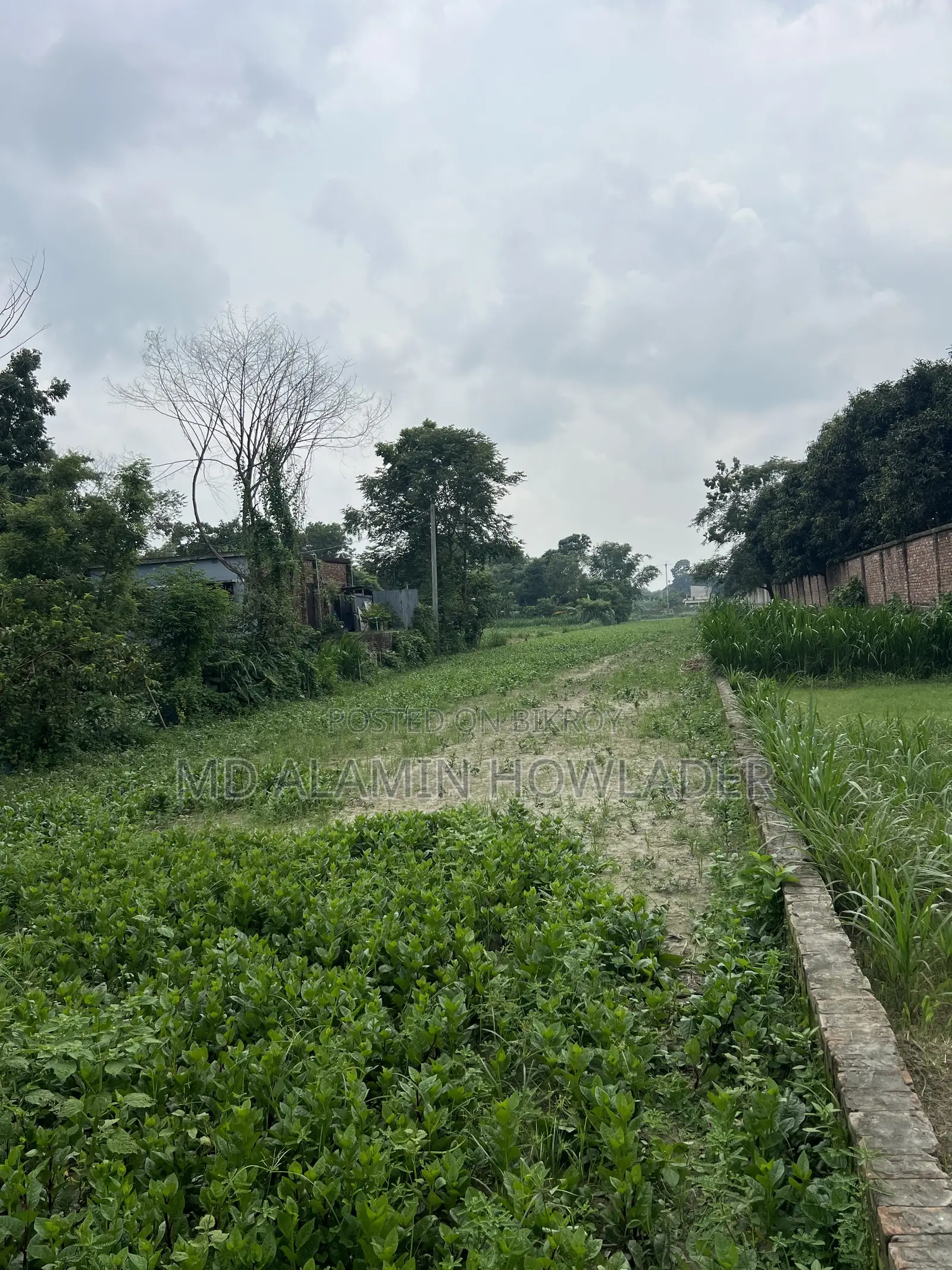 কৃষি জমি বিক্রি করা হবে
