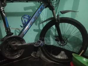 Phoenix MTB Cycle