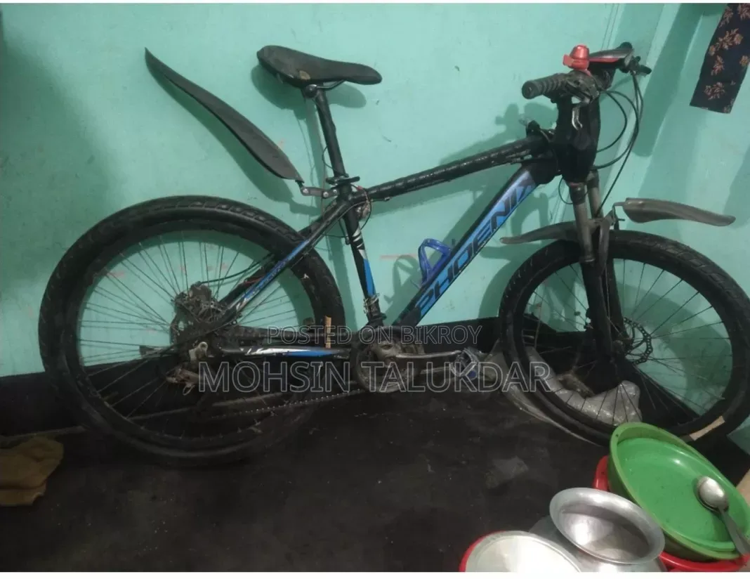 Phoenix MTB Cycle