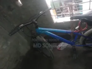 Bicycle Sale