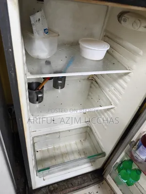 Singer 250l Double Door Fridge