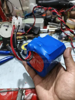 লিথিয়াম ফসফেট(লিফিপো৪)/ লিথিয়াম আয়ন ব্যাটারি প্যাক
