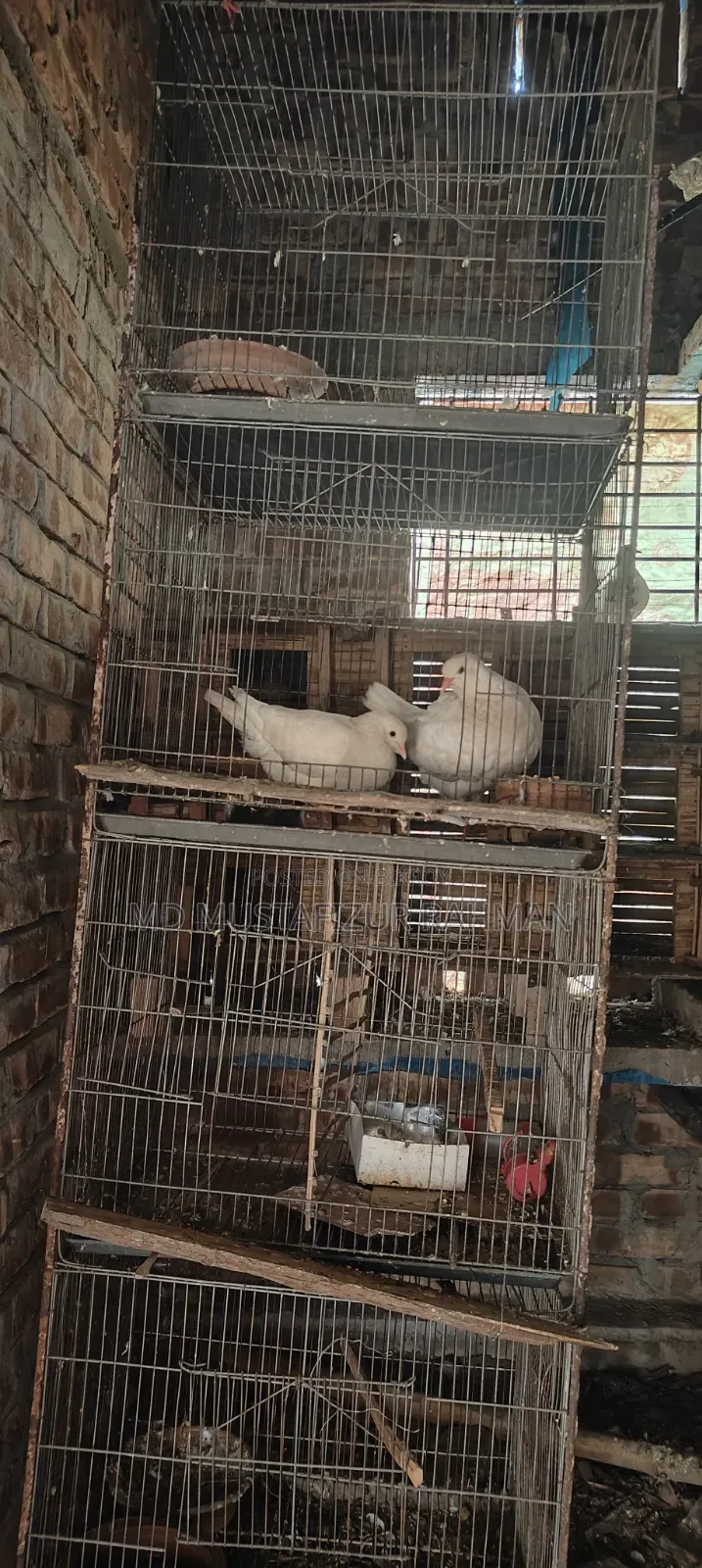 This cage is for sale, 4 compartments